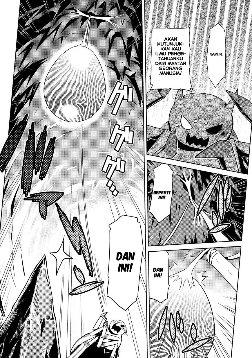 Kumo desu ga, Nani Ka?